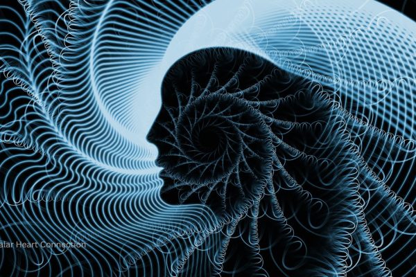 Discover how the heart reveals the truth behind the reality your mind creates.
